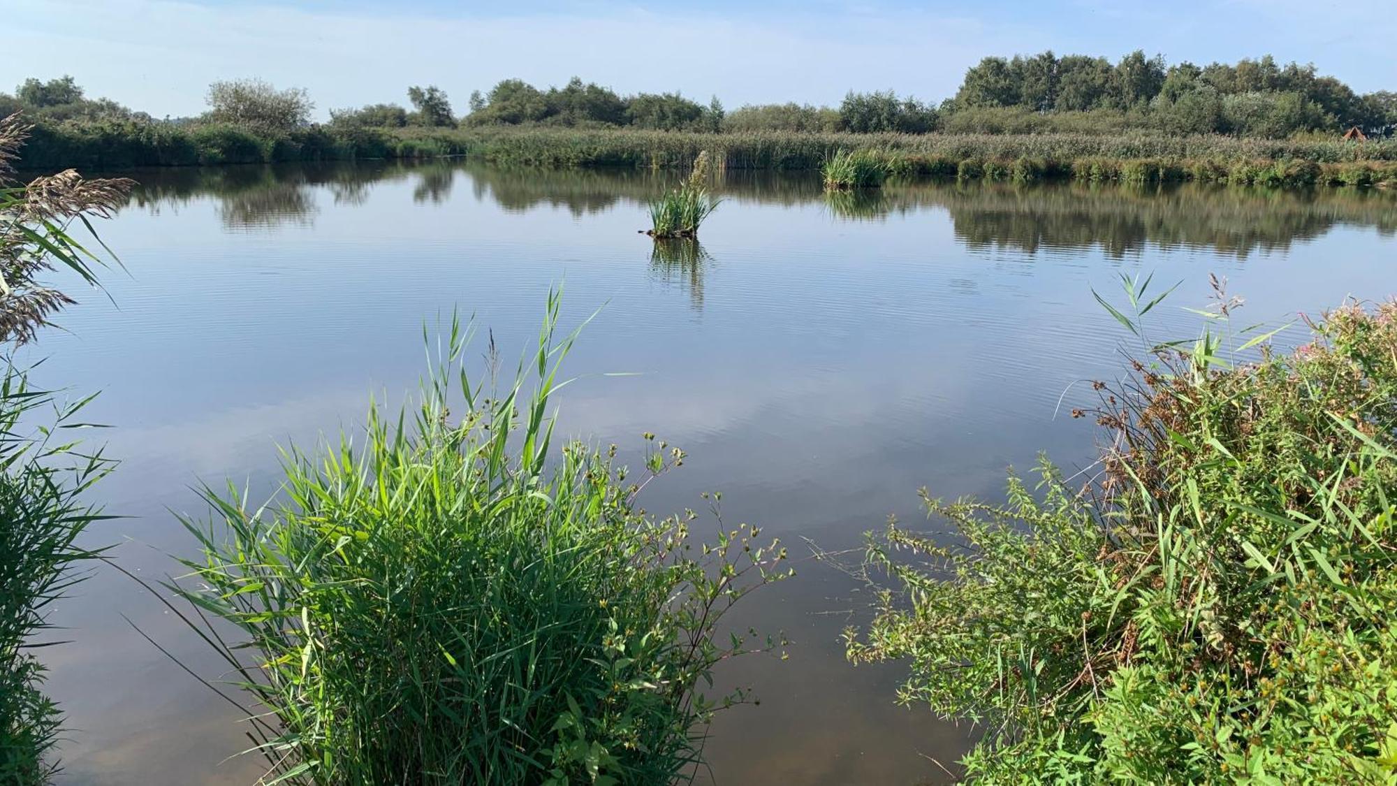 'T Paviljoenhus Bij Sneekermeer Offingawier 外观 照片